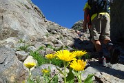 PIZZO DEL DIAVOLO DI MALGINA (2926 m), salito dalla VAL MALGINA, disceso dalla VALMORTA il 7 agosto 2016 - FOTOGALLERY